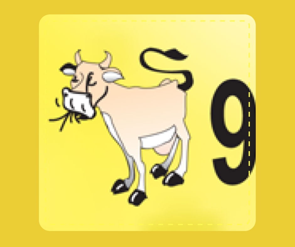 9 - Cow